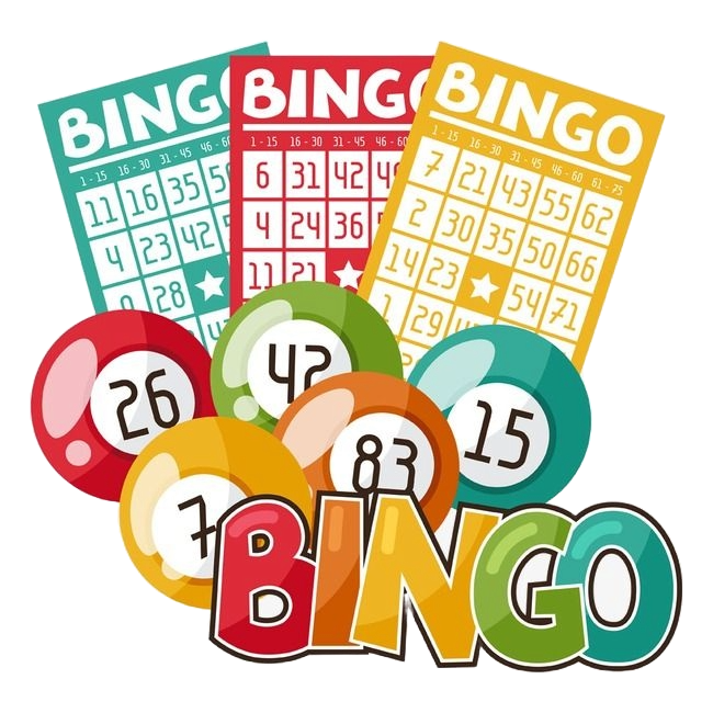 49jili bingo